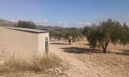 Land · Sale · Salinas · Salinas