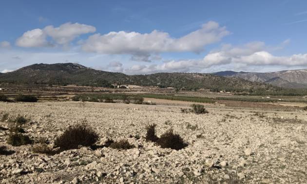 Land - Sale - Salinas - Salinas