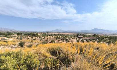 Land · Sale · Sax · Sax