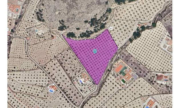 Land - Sale - Sax - Sax