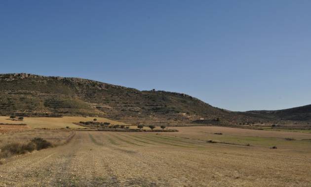 Land - Sale - Torre del Rico - Torre del Rico