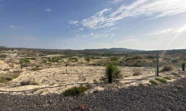 Land - Sale - Torremendo - Torremendo