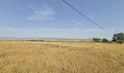 Land - Sale - Yecla - INM-82705