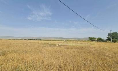 Land · Sale · Yecla · Yecla