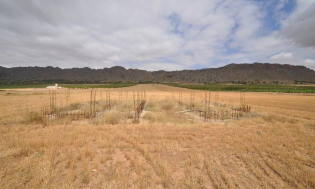 Land - Sale - Yecla - Yecla