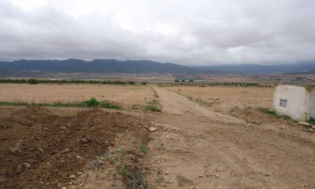 Land - Sale - Yecla - Yecla