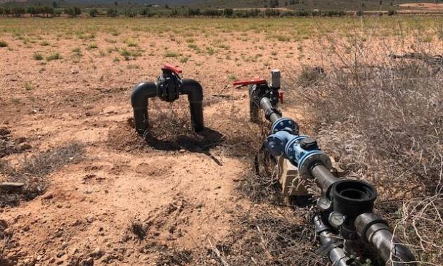 Land - Sale - Yecla - Yecla