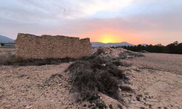 Land - Sale - Yecla - Yecla