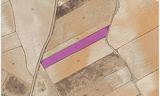 Land - Sale - Yecla - Yecla