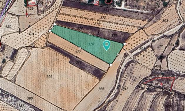 Land - Venta - Alguena - Alguena