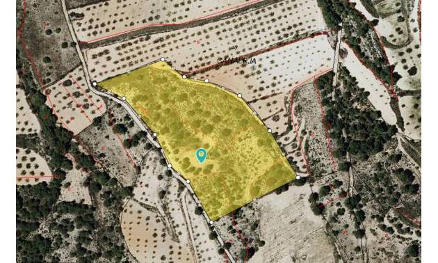 Land - Venta - Casas del Senor - Casas del Senor