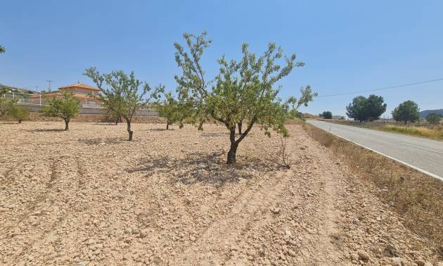 Land - Venta - Jumilla - Jumilla