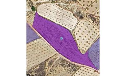 Land · Venta · Jumilla · Jumilla