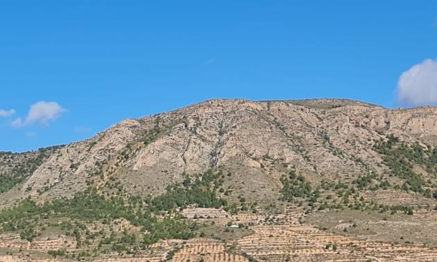 Land - Venta - La Romana - La Romana