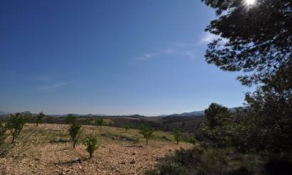 Land · Venta · La Zarza · La Zarza