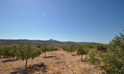 Land · Venta · Macisvenda · Macisvenda