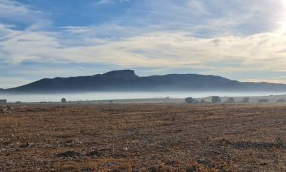 Land · Venta · Monovar · Monovar