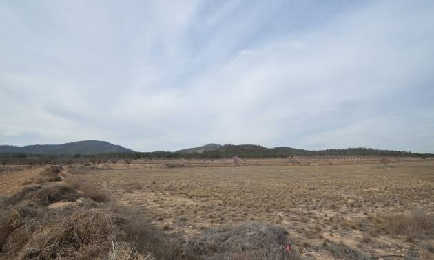 Land - Venta - Monovar - Monovar