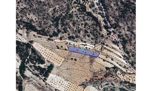 Land - Venta - Monovar - Monovar