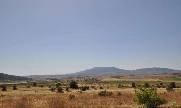 Land - Venta - Pinoso - Pinoso