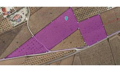 Land · Venta · Pinoso · Pinoso