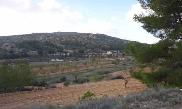 Land - Venta - Pinoso - Pinoso
