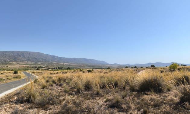 Land - Venta - Pinoso - Pinoso