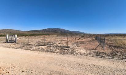 Land · Venta · Pinoso · Pinoso