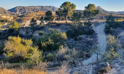 Land · Venta · Relleu · Relleu