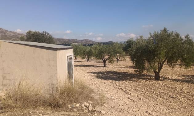 Land - Venta - Salinas - Salinas