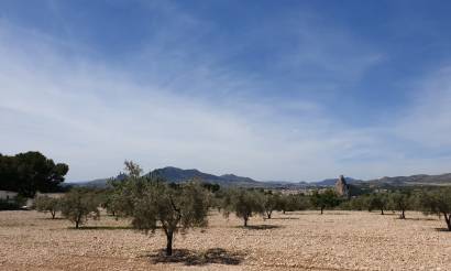 Land · Venta · Sax · Sax