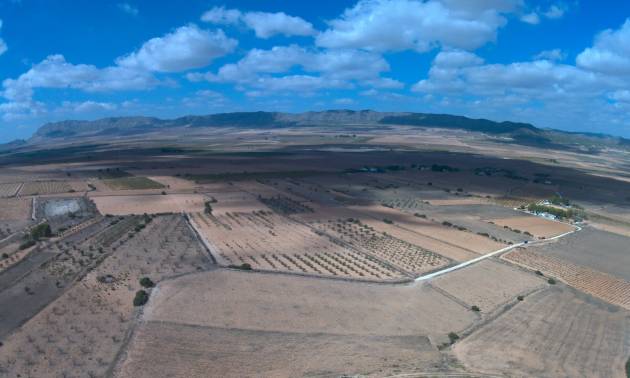 Land - Venta - Yecla - Yecla