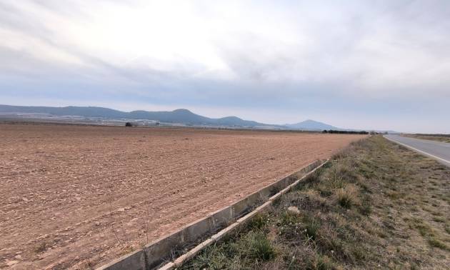 Land - Venta - Yecla - Yecla