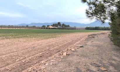 Land · Venta · Yecla · Yecla