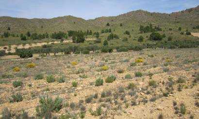 Land · Venta · Yecla · Yecla