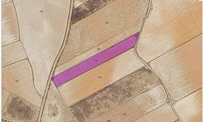 Land · Venta · Yecla · Yecla