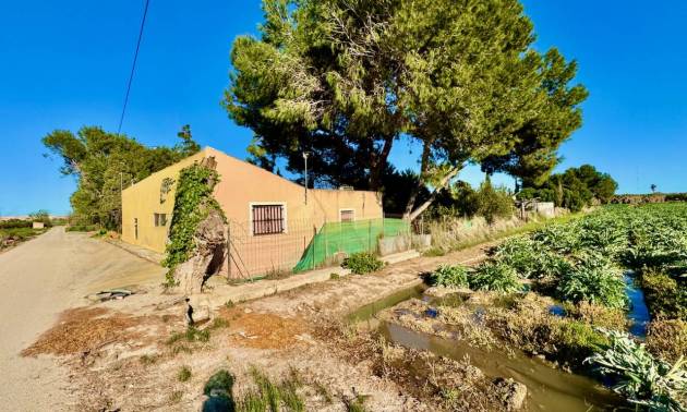 Landelijk huis - Bestaande woningen - Guardamar del Segura - Guardamar del Segura