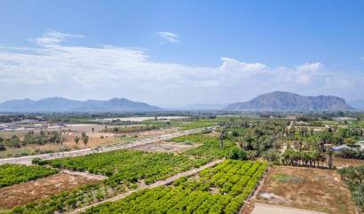 New Build - Apartment - Jacarilla - Comunidad Valenciana