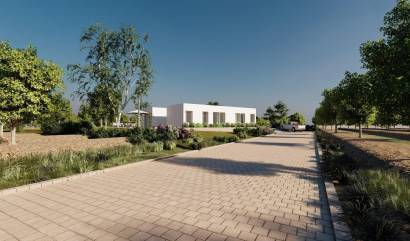 New Build - Villa - Benejúzar - alta