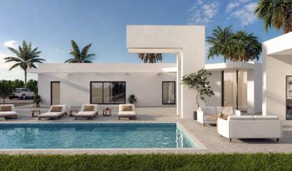 New Build - Villa - Benejúzar - alta