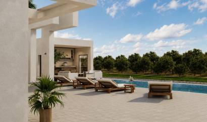 New Build - Villa - Benejúzar - alta