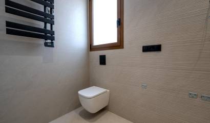 New Build - Villa - Benejúzar - alta