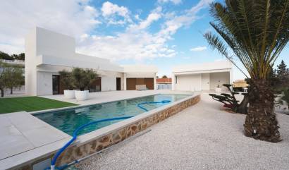 New Build - Villa - Benejúzar - alta