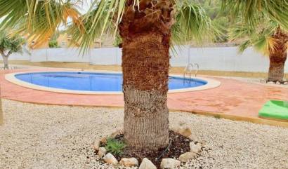 New Build - Villa - La Romana - Villas de la Romana