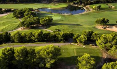 New Build - Villa - Pilar de la Horadada