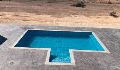 New Build - Villa - Pinoso - Camino Del Prado