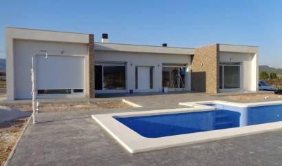 New Build - Villa - Pinoso - Camino Del Prado