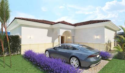 New Build - Villa - Pinoso - Rodriguillo