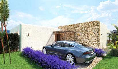 New Build - Villa - Pinoso - Rodriguillo