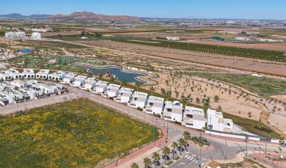 New Build - Villa - Torre Pacheco - Santa Rosalía